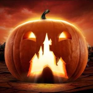 Meet your Posher, Todd